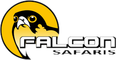 falcon